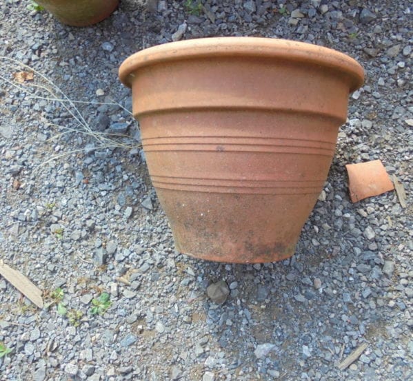 Reclaimed flower pots