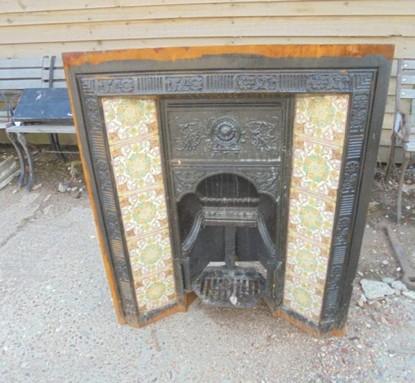 decorative fire insert