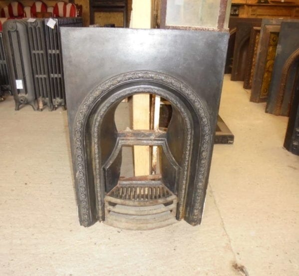 small fire insert