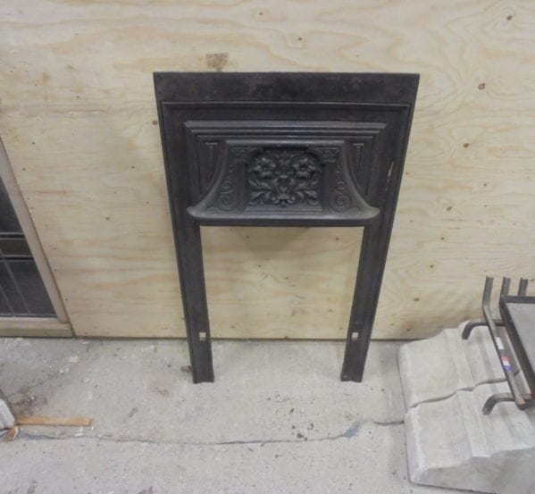 Small Black Fire Insert