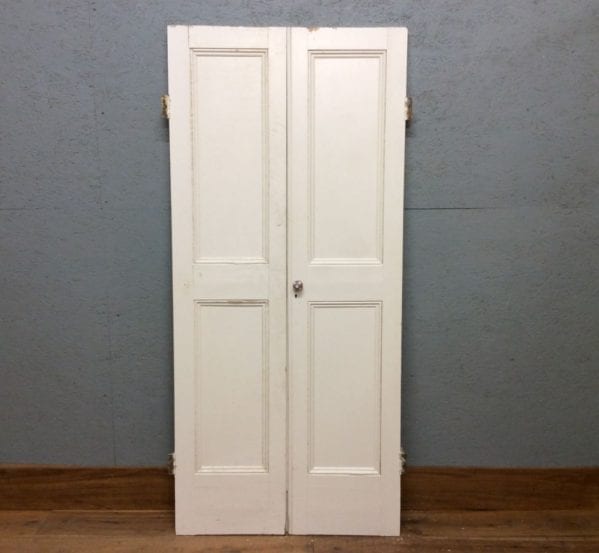 2 Panelled cupboard doors