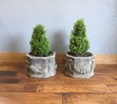 8 Sided Stone Planter & Tree Pair