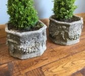 8 Sided Stone Planter & Tree Pair