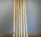 Long Bamboo Lengths