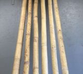 Long Bamboo Lengths