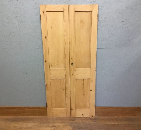 Stripped Reclaimed Cupboard Pair of Doors