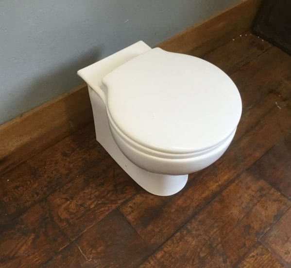 Rounded Base White Toilet & Seat