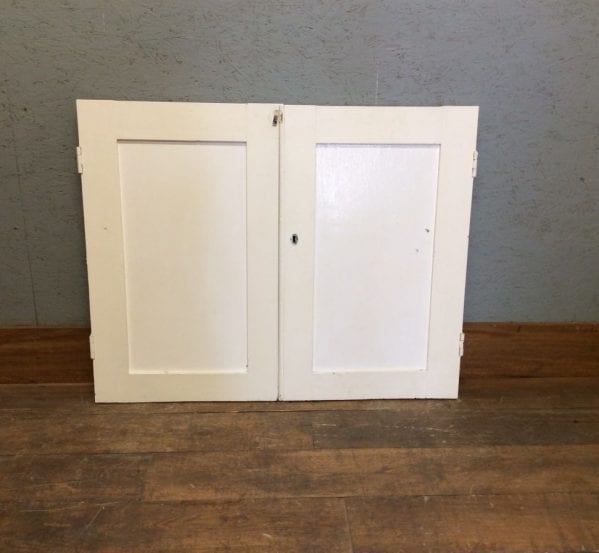 1 Panel Small White Cupboard Door