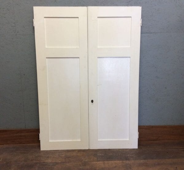 2 Panel White Cupboard Doors