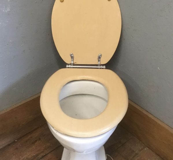 Wood Effect Lid on Toilet