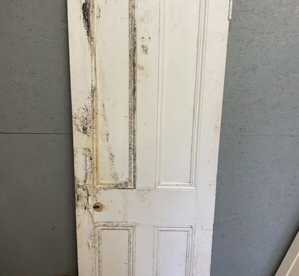 Beaded Reclaimed Painted Door