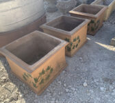 Ivy Terracotta Pots
