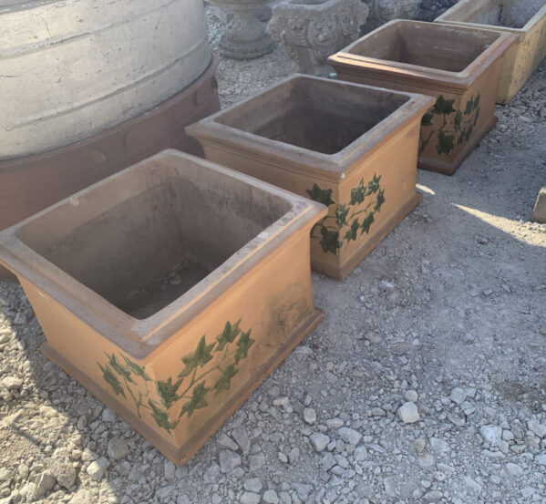 Ivy Terracotta Pots