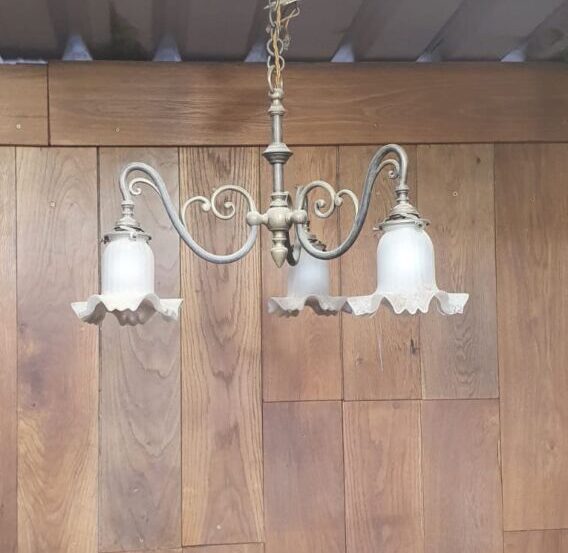 Brass Light with Floral Shades