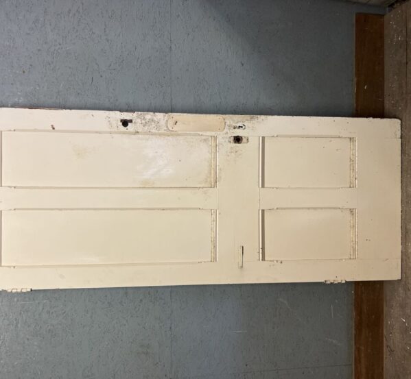 Tall Reclaimed Painted Door