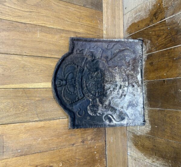Reclaimed Detailed Lion Fire Back