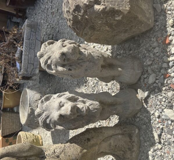 Pair of Lovely Lion Statues