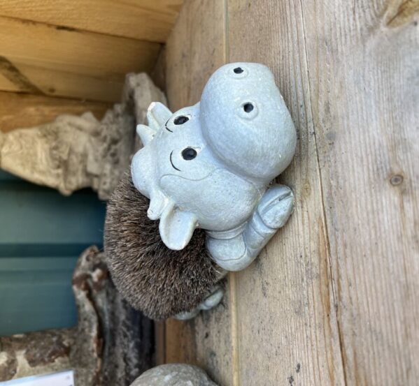 Little Reclaimed Baby Hippo