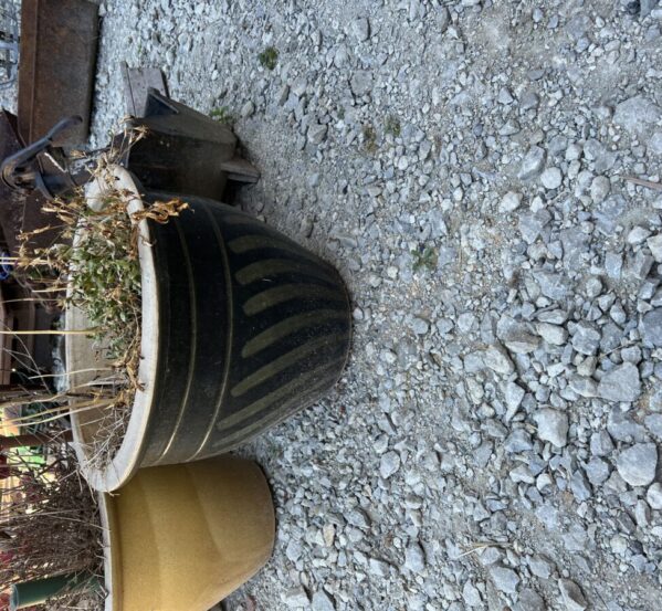 Lovely Gold Detailed Plant Pot