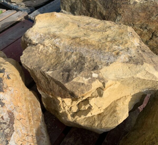 Medium Sized Sandstone Rock