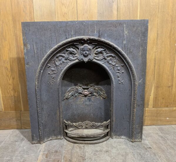 Stunning Iron Floral Insert with no Grate