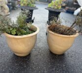 Pair of Shiny Glazed Pots