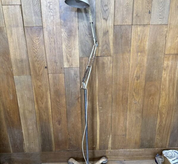 Rustic Bendable Lamp Stand
