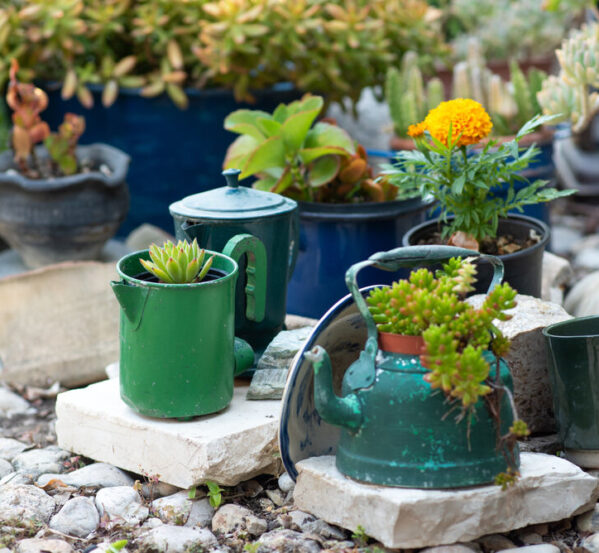 Revitalise Your Garden with Reclaimed Planters