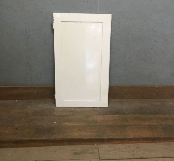 Small Painted Single Cupboard Door