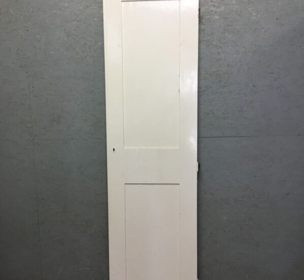 Single 2 Panel Cupboard Door