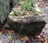 Wedge Shaped Stone Trought