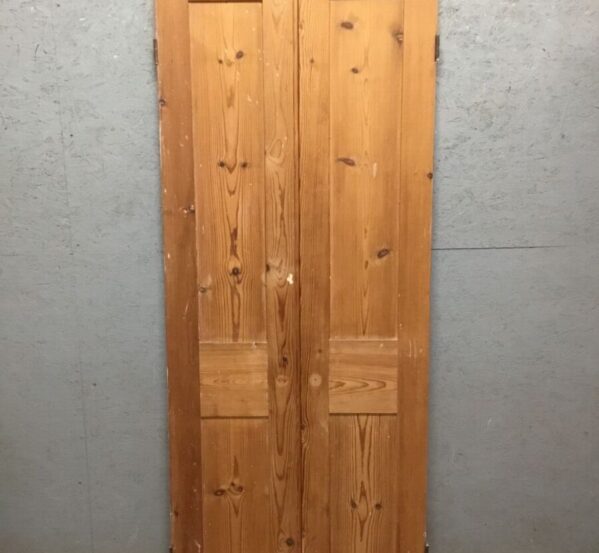 Stripped Pine Double Cupboard Door
