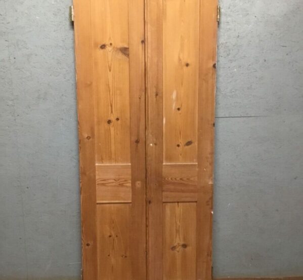 Stripped Double Cupboard Doors