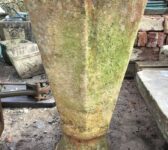 Terracotta Rhubarb Forcer
