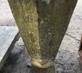Terracotta Rhubarb Forcer