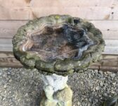 Boys Holding Bird Bath