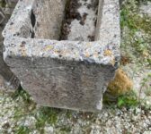 Carved Concrete Planter