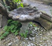 Clam Shell Bird Bath