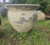 Tall Clay Pot With Small Lip Handles