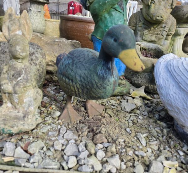 Charming Cast Iron Duck