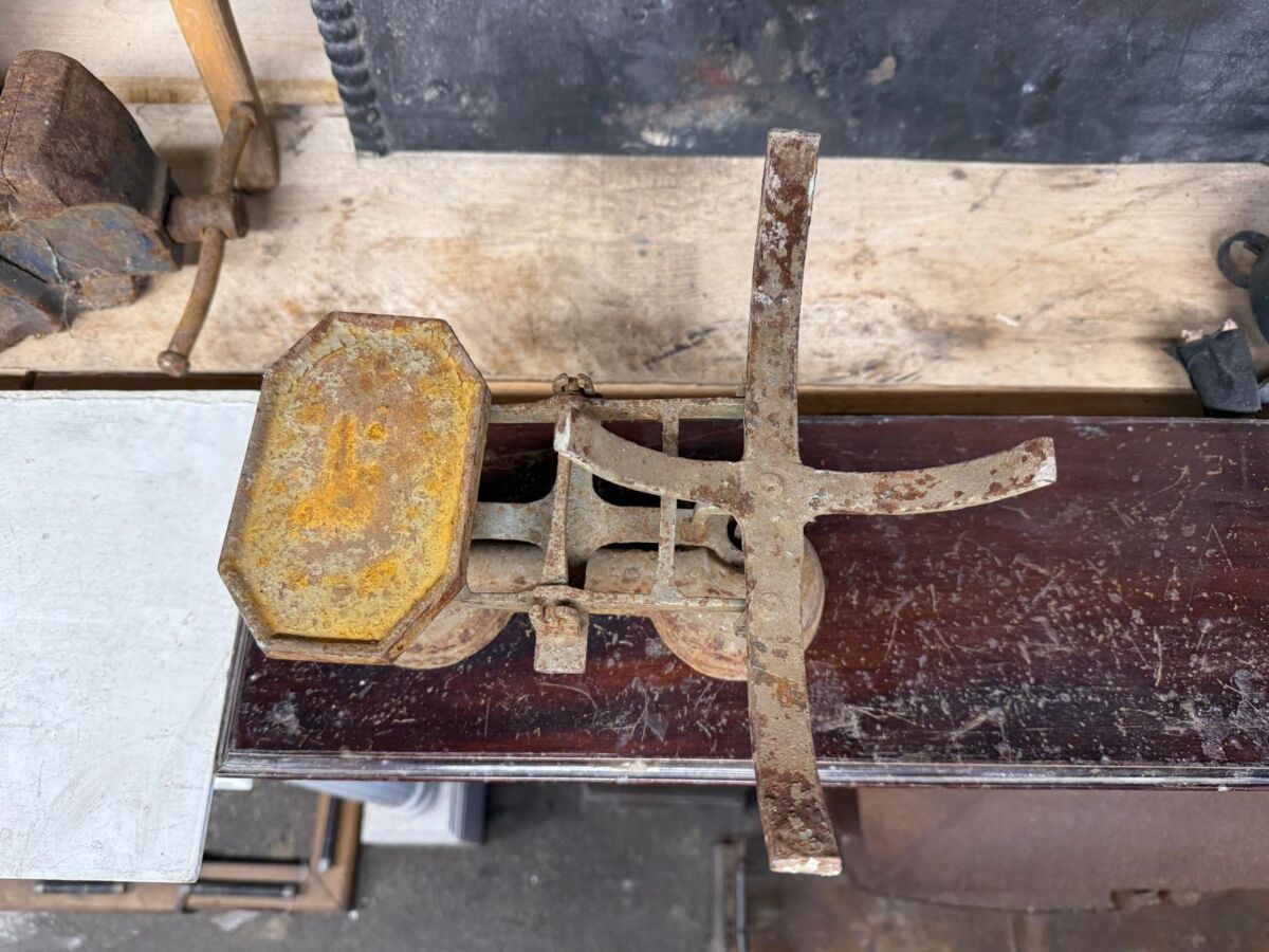 Charming Rusted Scales