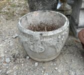 Traditional Grape Planter