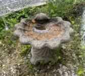 Elegant Scalloped Birdbath
