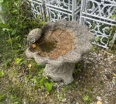 Elegant Scalloped Birdbath