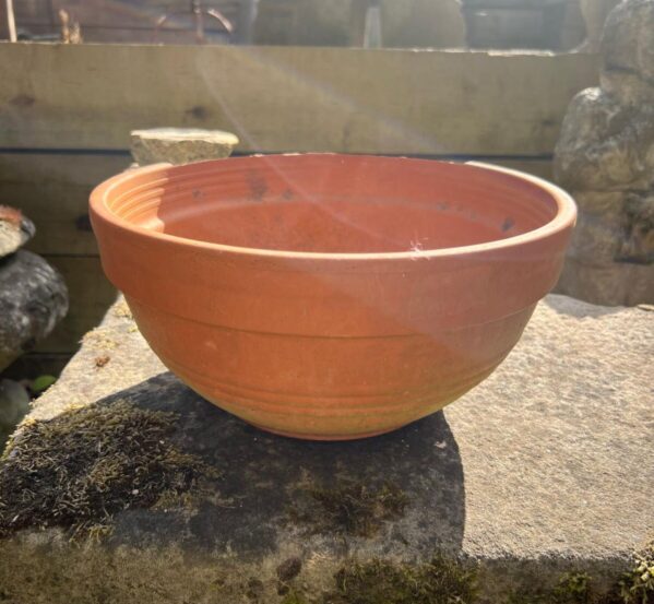 Terracotta Bowl Planter