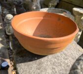Terracotta Bowl Planter