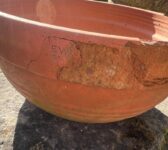 Terracotta Bowl Planter