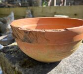 Terracotta Bowl Planter