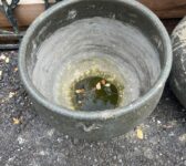 Chiang Mai Garden Pot