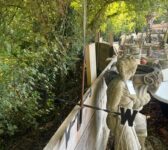 Rooster Weather Vane